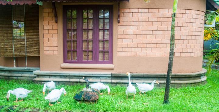 Pagoda Resorts Alappuzha Eksteriør billede